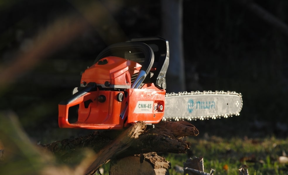 Baum Sturmschaden - Wir helfen