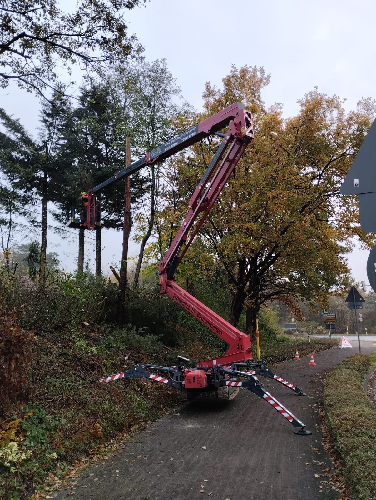 Baumarbeiten im Herbst