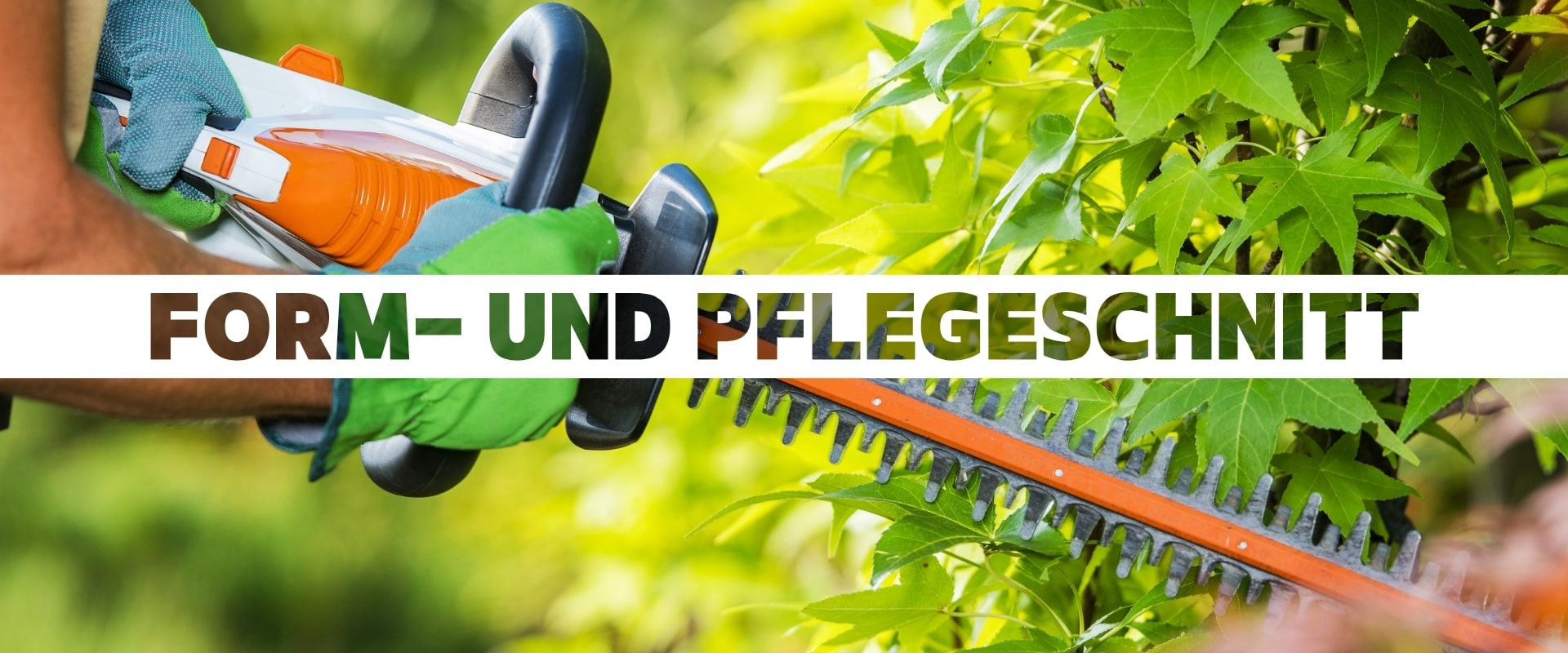 Form- und Pflegeschnitt