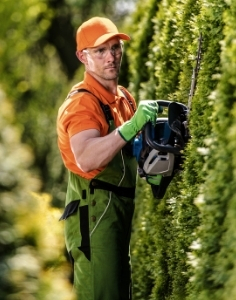 Hecke schneiden Gartenservice – Rasenmähen Oerlinghausen